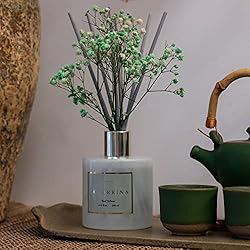 Cocorrína Premium Reed Diffuser Set with Preserved