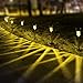 Sunnest Warm White Solar Garden Lights Outdoor, Solar Powered Pathway Lights, Outdoor Landscape Lighting for Garden/Yard/Lawn/Patio/Walkway/Driveway(12 Pack)