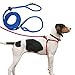 Harness Lead Escape Proof, Reduces Pull Dog Harness, Medium/Large, Blue