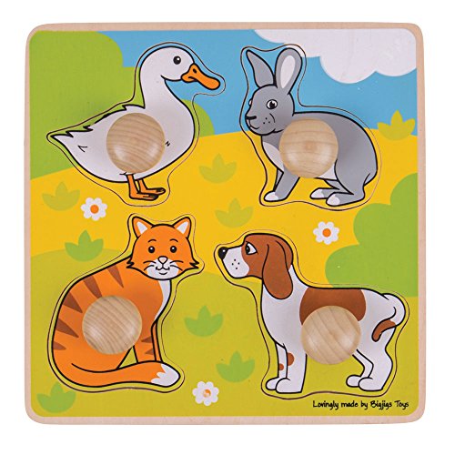 Bigjigs Toys My First Peg Puzzle - Pets, Multicolored