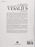 Image de The Illustrations from the Works of Andreas Vesalius of Brussels (Dover Fine Art, History of Art)