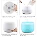 HoomDirect Humidifier, Ultrasonic Cool Mist Humidifier, 180ML USB Portable Mist Air Humidifier for Your Home, Office, Desk, Travel, Bedroom, Baby Room