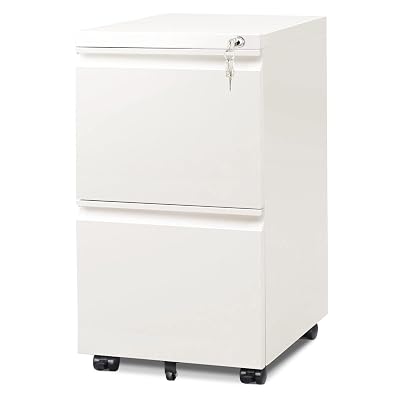 DEVAISE 2 Drawer Mobile File Cabinet with Lock, Commercial Vertical Filing Cabinet for Home Office, White