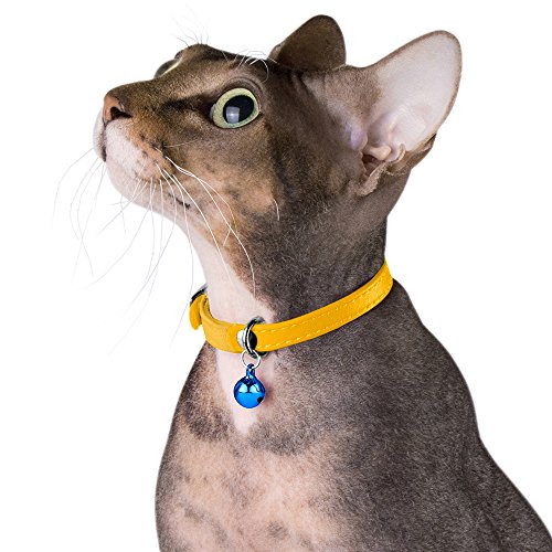 CollarDirect Leather Cat Collar, Cat Safety Collar with Elastic Strap