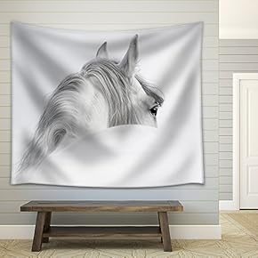 Gray Andalusian Horse in a Mist - Fabric Wall Tapestry Home Decor - 51x60 inches