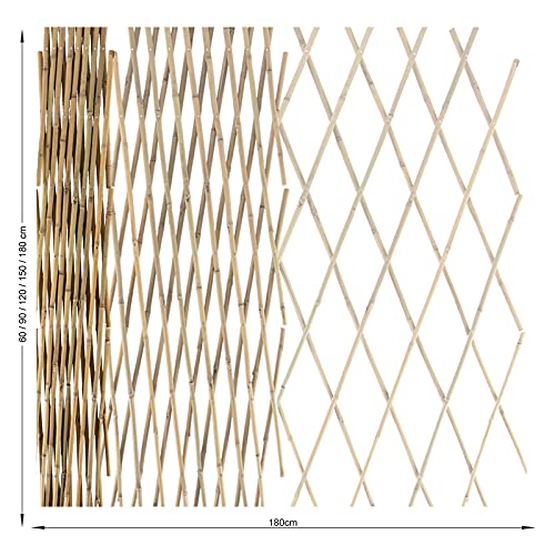 Floordirekt Bambus Rankgitter für Garten, Balkon & Terrasse | Individuell ausziehbar | Witterungsbeständig & langlebig… – Bild 3