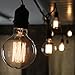 Set of 4 Midwood G25 Vintage Filament 40W (E26) Bulbs