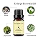 Men's Massage Oil, Private Parts Maintenance Oil, Men's Enlarged Essence Cream, Men's Massage Products, 100% Herbal Pure Essential Oil