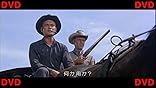 カスタマー画像