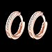 14K Rose Gold Plated Tone CZ Small Hoop Huggie Earrings For Women jewelry, 0.67''