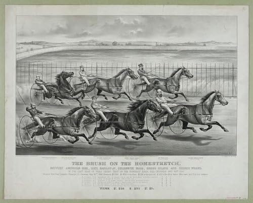 Photographs - Infinite Photographs Photo: Horse Racing, Harness Racing, American Girl, Lucy, Bashaw Jr, Goldsmith Maid, 1869 Size: 8x