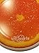 4A Sports Discraft Supercolor 175g Ultra Star Ultimate Disc - Sliced Orange