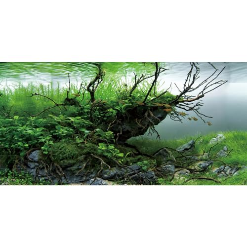 AWERT 36x24 in Branch Aquarium Backdrop Seagrass Fish Tank Background at Amazon