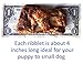 K9 Connoisseur Single Ingredient Dog Bones Made in USA for Small Breed Dogs All Natural Meaty Beef Chew Treat Bone Best for Puppies Up to 15 Pounds (1 Pk of 5 Ribblets)