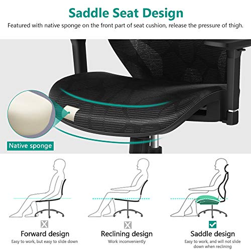 Ergonomic Office Chair, High Back Desk Chair with Lumbar Support