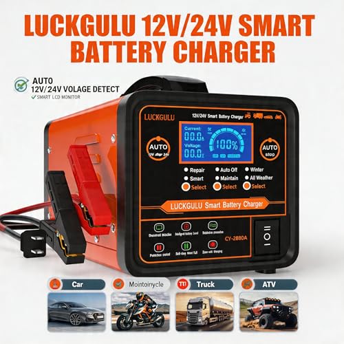 Caricabatterie Auto 12V/24V 20A Professionale, Caricatore e Mantenitore Automatico con Modalità Riparazione, Programma Invernale, Arresto Automatico,Ricarica Rapida per Auto,Camion,Moto,Camper