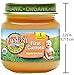 Earth's Best Organic Stage 1 Baby Food, Carrots, 2.5 Ounce Jars, Pack of 12