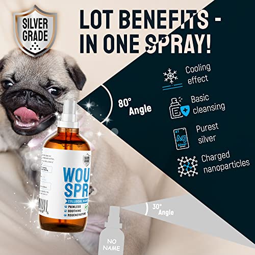 Wound Spray for Pets Colloidal Silver Wound and Skin Care for Dogs
