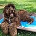 The Green Pet Shop Dog Cooling Mat - Pressure-Activated Gel Cooling Mat For Dogs, Medium Size - This Pet Cooling Mat Keeps Dogs and Cats Comfortable All Summer - Ideal for Home and Travel