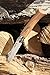 Opinel No.06 Stainless Steel Folding Knife with Oak Wood Handle