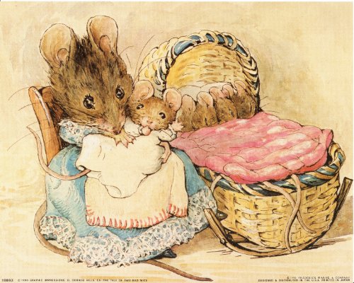 Wall Decor The Tale of Two Bad Beatrix Potter Art Print Poster (8x10)