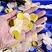 Outus 1 Inch Paper Confetti Round Tissue Confetti Party Circle Paper Table Confetti, 6000 Pieces, 4 Colors