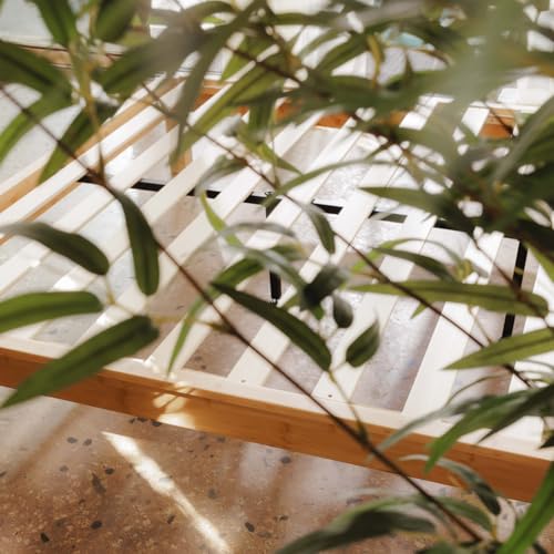 Cama Casal Luuna Bambu Natural, Design Sustentável boho, Fácil Montagem, 10 Anos Gar.