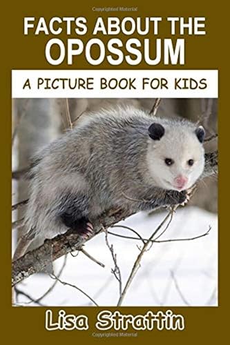 Download Facts About the Opossum PDF