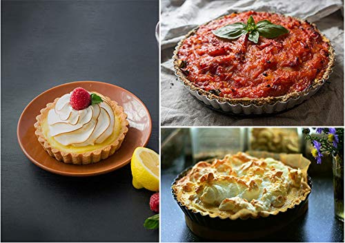 Qunqi 4Pcs 4 Inch Mini Quiche Tart Pizza Pie Pans Removable Bottom and 10Pcs Aluminum Egg Tart mold