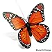 CNZ Fluttering Solar and Battery Powered Butterfly with Ground Spike, Monarch Orange