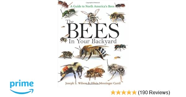 The Bees In Your Backyard A Guide To North America S Bees Joseph