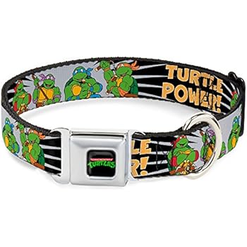 Buckle-Down Seatbelt Buckle Dog Collar - Classic TMNT Group Pose/TURTLE POWER! - 1