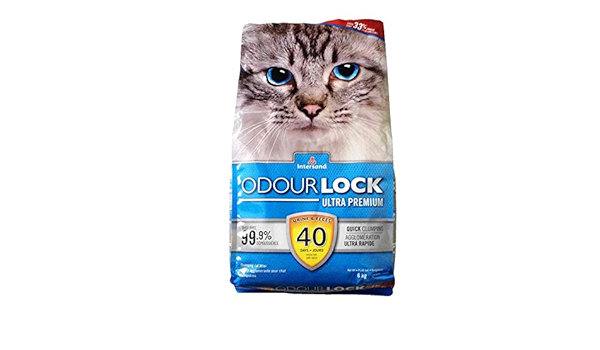 intersand odour lock