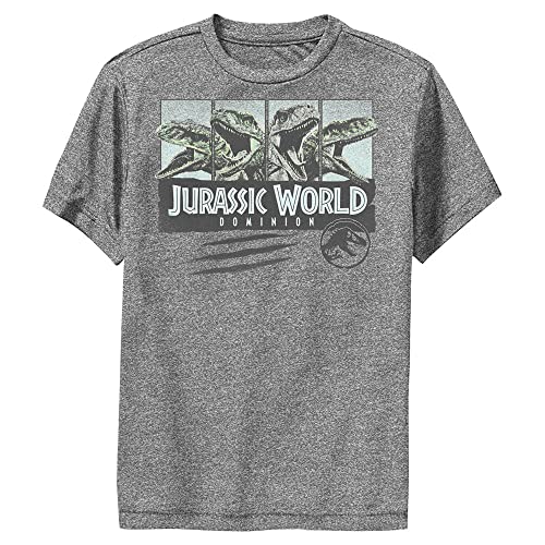 Jurassic World Boys Malta Crew T-Shirt, Charcoal Heather, Small US