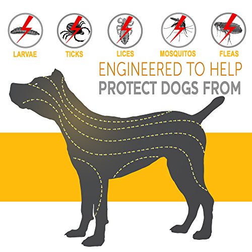 ONMOG Dogs Flea and Tick Prevention - Best Pests Control Collar for Dogs - Easy Adjustable and Water Resistance Collar - Ultra Safe for Pets and Pet's Owners with Natural Essential Oils - Thumbnail 2