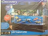 Discovery Kids Animated Tropical Lamp with LED Lamp