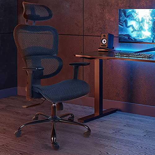 Rottnen ErgoRo Ergonomic Office ChairRolling Desk Chair with 3D