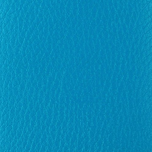Genuine Leather ID Badge Holder Wallet with Heavy Duty Carabiner Retractable Reel, Key Ring and Metal Clip, 3 Card Pockets. Holds Multiple Cards & Keys. Key Chain Flashlight. Vertical. Carolina Blue