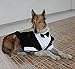 Dog Costume Large Dog Tuxedo Bandana Suit 2-Piece Removeable,Dogs Wedding Attire Outfit for Large and Medium Dogs,Golden Retriever, Labrador, Samo,Bulldogs