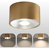 Sedelan D4.33 Brass Ceiling Spot Lights Indoor, Mini Cylinder Ceiling Light Fixtures, LED Spotlight Ceiling, Dimmable Small C