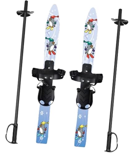 Head WCR e-SL Rebel FIS 156cm Skis 2025, Skis - Amazon Canada
