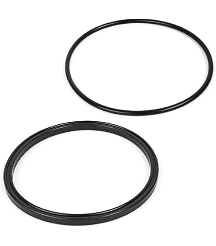 Amazon.com: Zodiac R0448800 Locking Ring Lid Seal Replacement for