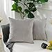Home Brilliant Set of 2 Solid Square Ultra Soft Short Plush Velvet Accent Throw Pillow Sham Cushion Cover for Office Car Travel, 18 Inch(45cm), Light Grey