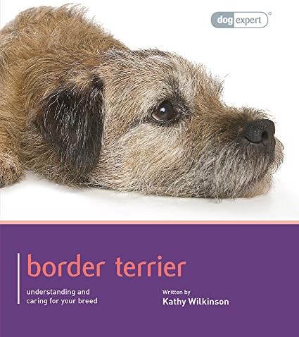 Border Terrier - Dog Expert