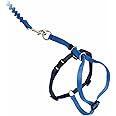 PetSafe Come with Me Kitty Harness and Bungee Leash, Large, Royal Blue