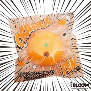 i Bloom Squishies Orange Pen Holder
