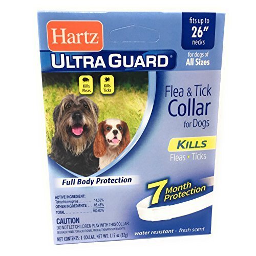 Flea Collar for Large Dogs Water Resistant Tick Repellent 7 Months Protection Flea Collar for Large Dogs Water Resistant Tick Repellent 7 Months Protection
