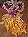 Sari Pure Silk Ribbon Yarn Multi Sunset-Recycled Sari Silk Yarn