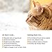 Solid Gold Dry Cat Food for Indoor Cats of All Ages - W/Lamb, Brown Rice, Barley, Probiotics & Fiber for Gut Health- Holistic & Healthy Cat Kibble for Kittens & Adults - Dry Kibble for Cats - 12 LB