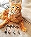 Spoon Cat Spoon Cute Spoon Feb 7 Stainless Steel Cat Kitten Design Coffee/Dessert/Drink/Mixing/Milkshake Spoon Tableware Flatware Gadgets Scoop Ladle Spoons-Set of 4